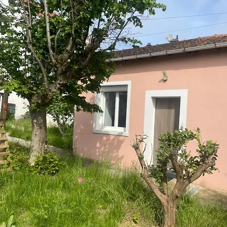 Charmante Maison Avec Jardin Aux Portes De Paris Vitry-sur-Seine Buitenkant foto